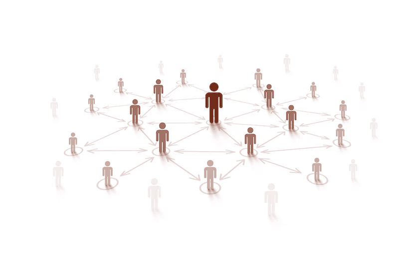 Network Building